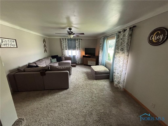 803 W Holland St, Archbold, OH 43502 - carpeted living area with a ceiling fan, ornamental molding, and baseboards