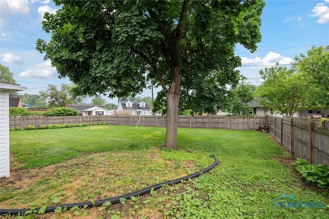 1240 Westgate Rd, Toledo, OH 43615 - view of yard