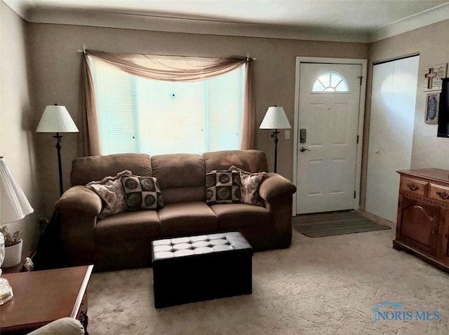 308 Jackson St, Delta, OH 43515 - living room with light colored carpet