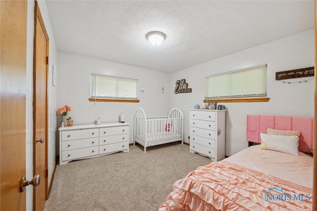 355 State Route 300, Gibsonburg, OH 43431 - photo 29