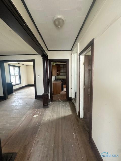 831 Oak St, Toledo, OH 43605 - hall with wood-type flooring and baseboards