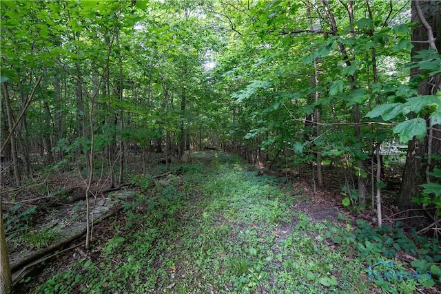 7194 County Road 86, Findlay, OH 45840 - photo 50
