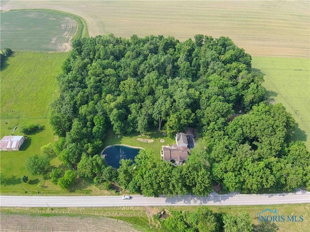 7194 County Road 86, Findlay, OH 45840 - photo 41