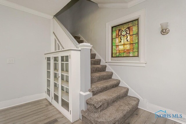 2740 Robinwood Ave, Toledo, OH 43610 - stairs featuring crown molding and wood finished floors