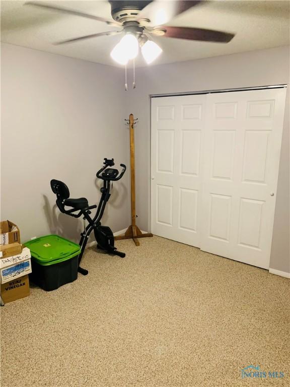 1019 E Wilson St, Bryan, OH 43506 - exercise area with a ceiling fan and light colored carpet