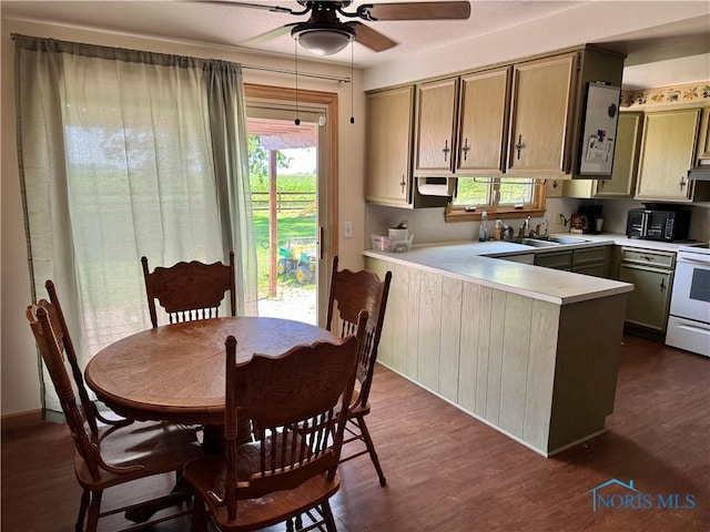 534 S Butternut St, Deshler, OH 43516 - kitchen with a peninsula, a ceiling fan, plenty of natural light, and light countertops