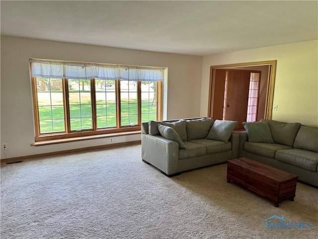 534 S Butternut St, Deshler, OH 43516 - carpeted living area with plenty of natural light