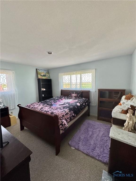 534 S Butternut St, Deshler, OH 43516 - bedroom with carpet