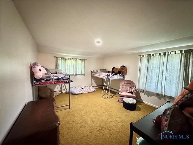 534 S Butternut St, Deshler, OH 43516 - bedroom with carpet floors and multiple windows