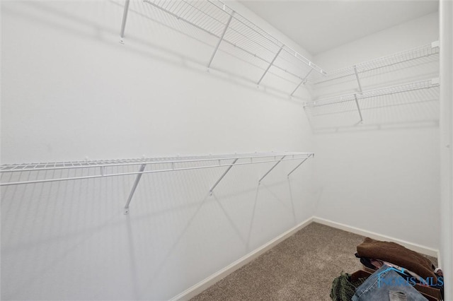8805 Birchfield Rd, Sylvania, OH 43560 - spacious closet featuring carpet flooring