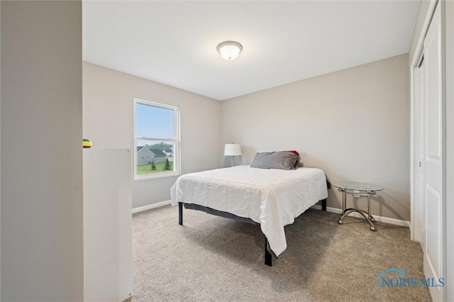 8805 Birchfield Rd, Sylvania, OH 43560 - bedroom with baseboards and carpet floors