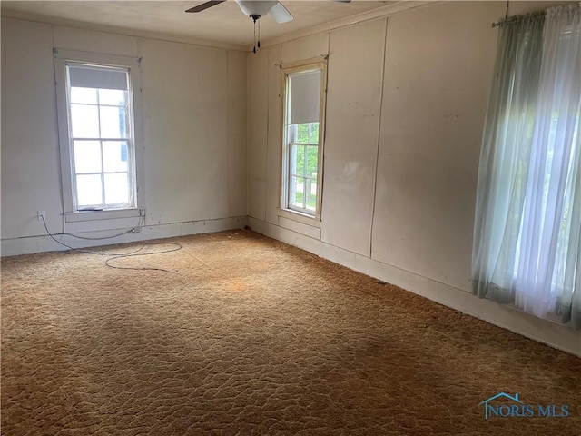 232 N Franklin St, Wauseon, OH 43567 - unfurnished room with carpet and a ceiling fan