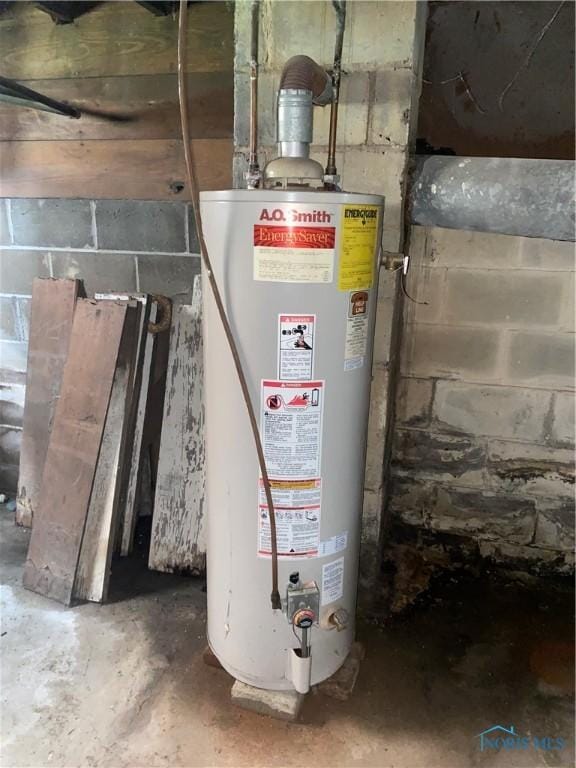 238 N Franklin St, Wauseon, OH 43567 - utility room with gas water heater