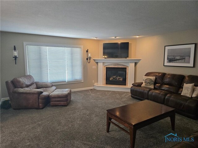 4811 Cabriolet Ln, Maumee, OH 43537 - carpeted living area featuring a glass covered fireplace and a textured ceiling