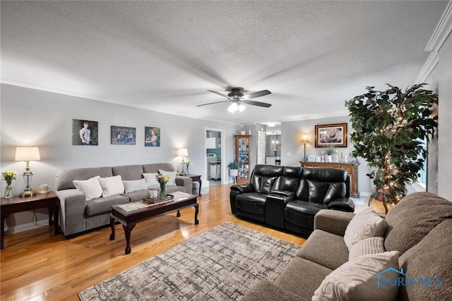 6020 Eagleville Rd, Bloomdale, OH 44817 - photo 6