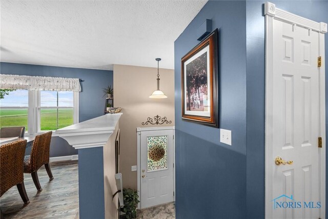 6020 Eagleville Rd, Bloomdale, OH 44817 - photo 18