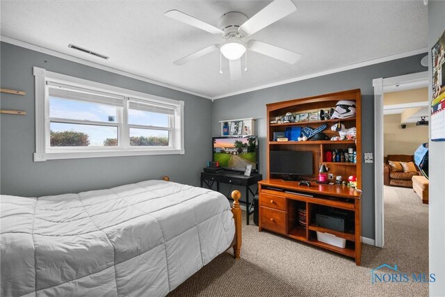 6020 Eagleville Rd, Bloomdale, OH 44817 - photo 20