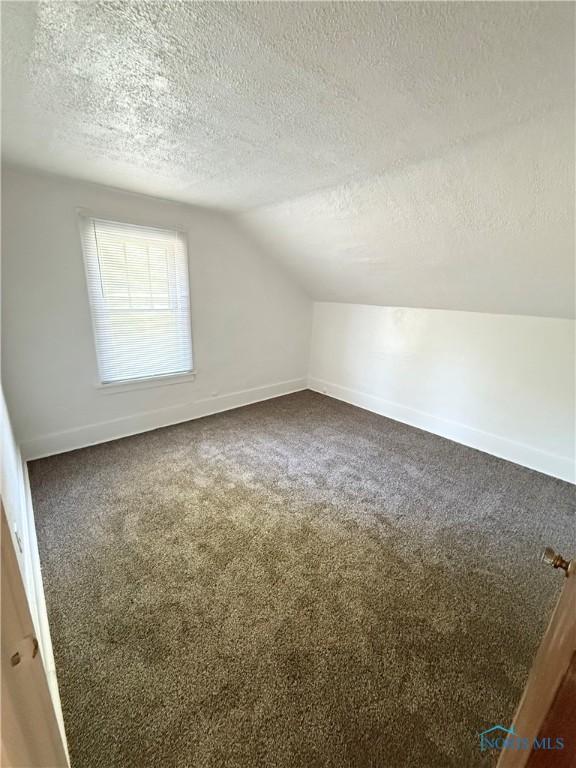 5455 Douglas Rd, Toledo, OH 43613 - bonus room featuring a textured ceiling, carpet floors, and lofted ceiling