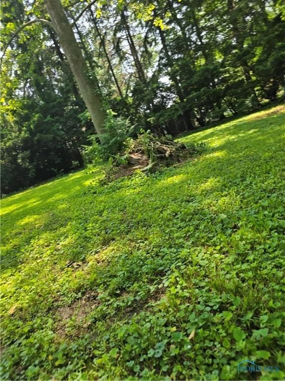 336 Holgate Ave, Defiance, OH 43512 - view of green lawn