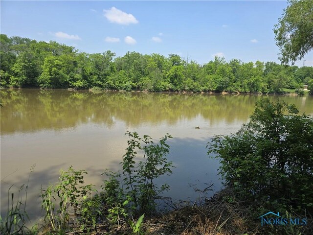 336 Holgate Ave, Defiance, OH 43512 - water view featuring a forest