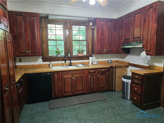 336 Holgate Ave, Defiance, OH 43512 - kitchen with dishwasher, a sink, under cabinet range hood, crown molding, and ceiling fan