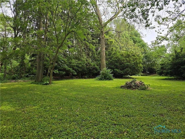 336 Holgate Ave, Defiance, OH 43512 - view of green lawn