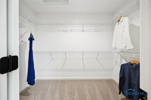160 Bentley Dr, Perrysburg, OH 43551 - walk in closet with carpet floors and attic access