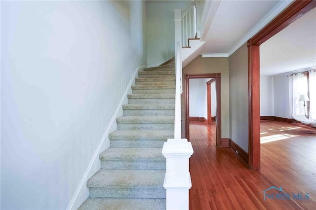 117 3rd St, Findlay, OH 45840 - stairs with wood finished floors, baseboards, and crown molding