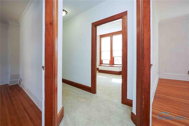 117 3rd St, Findlay, OH 45840 - hallway featuring ornamental molding and baseboards