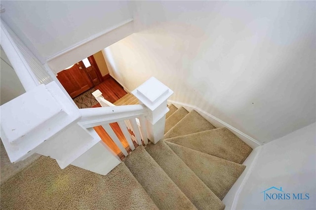 117 3rd St, Findlay, OH 45840 - stairway featuring carpet flooring
