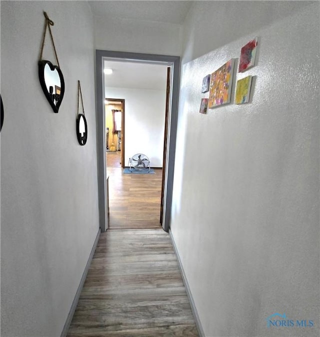 1154 Lagrange St, Napoleon, OH 43545 - hallway with wood finished floors and baseboards
