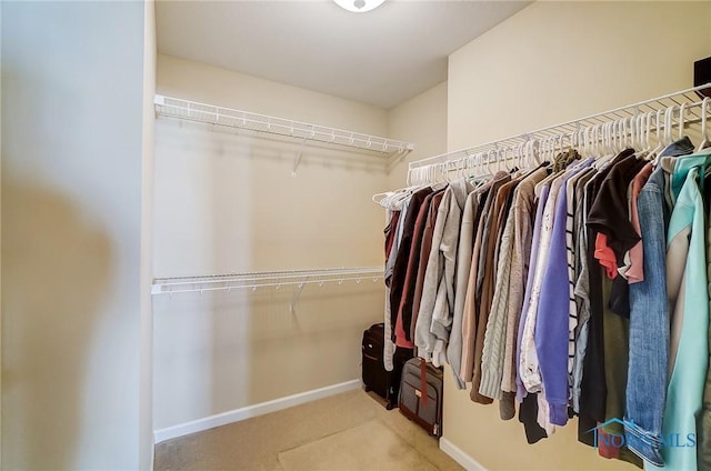 8971 N Park Lake Cir, Sylvania, OH 43560 - spacious closet with carpet floors