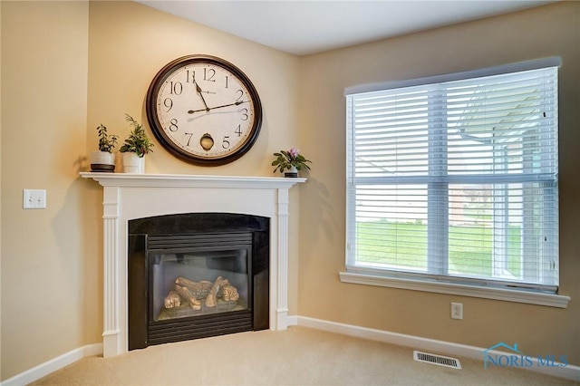8971 N Park Lake Cir, Sylvania, OH 43560 - detailed view of carpet floors and a glass covered fireplace