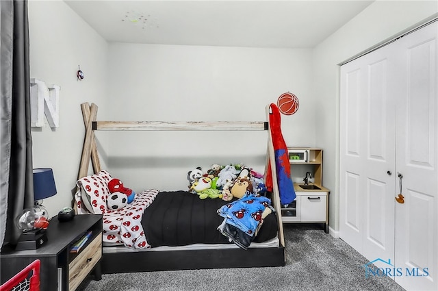 6564 Blossman Rd, Toledo, OH 43617 - bedroom with carpet floors and a closet