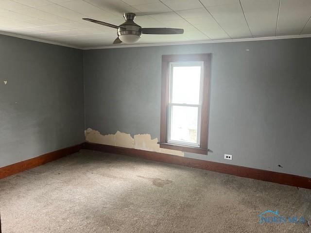 305 Mckinley St, Delta, OH 43515 - photo 18