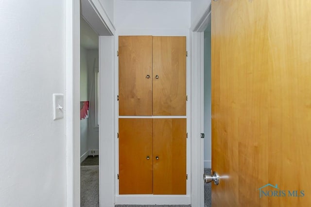 4405 Vermaas Ave, Toledo, OH 43612 - detailed view of carpet and baseboards
