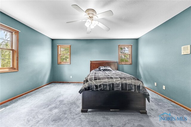 9255 Dover Dr, Wauseon, OH 43567 - photo 24