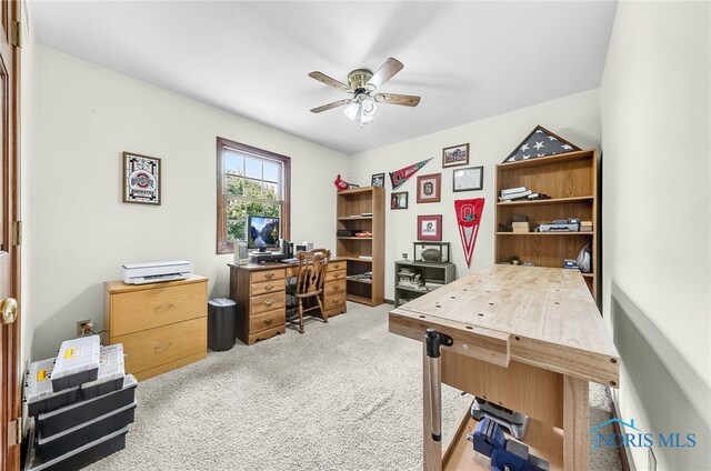 9255 Dover Dr, Wauseon, OH 43567 - photo 13