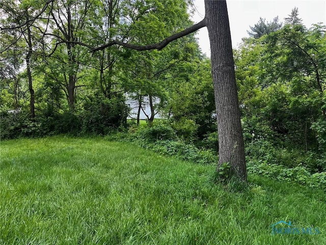 1730 Ketner Ave, Toledo, OH 43613 - photo 3