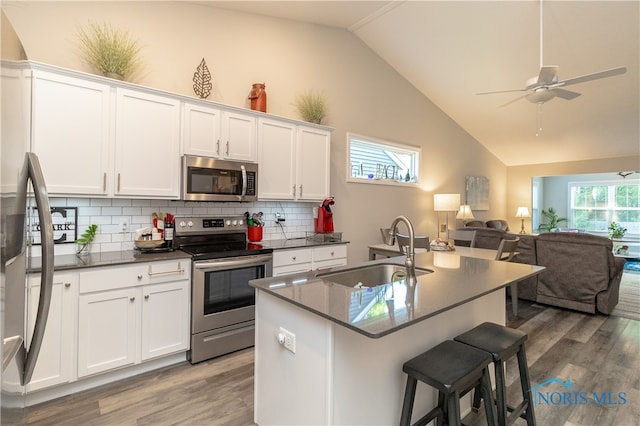 1948 Sunrise Creek Dr, Toledo, OH 43615 - kitchen featuring stainless steel appliances, a sink, wood finished floors, open floor plan, and vaulted ceiling