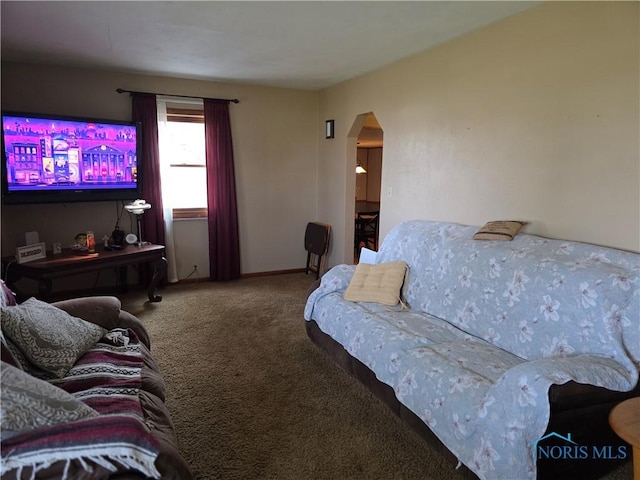 1649 N Perry St, Ottawa, OH 45875 - carpeted living room featuring arched walkways and baseboards