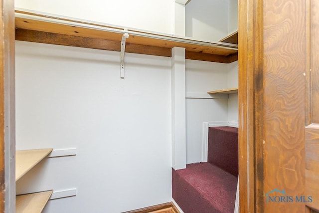 716 Maple St, Perrysburg, OH 43551 - view of spacious closet