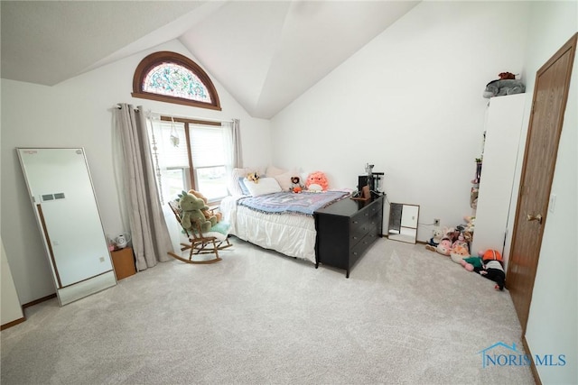 6975 Ramblehurst Rd, Sylvania, OH 43560 - bedroom with carpet and high vaulted ceiling