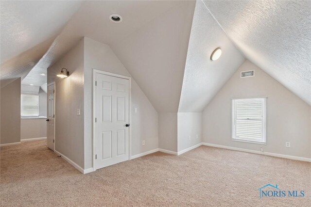 2707 Gunckel Blvd, Toledo, OH 43606 - bonus room featuring carpet, lofted ceiling, and healthy amount of natural light