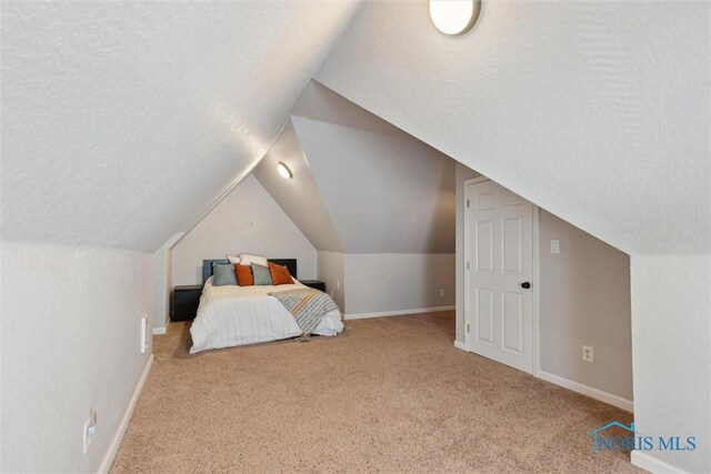 2707 Gunckel Blvd, Toledo, OH 43606 - carpeted bedroom featuring a textured ceiling and lofted ceiling