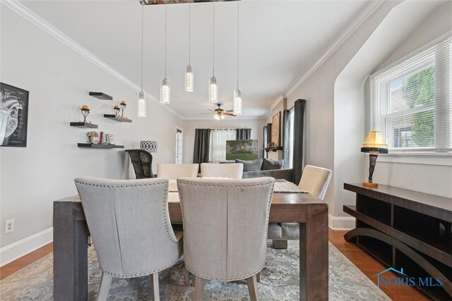 2707 Gunckel Blvd, Toledo, OH 43606 - dining area with wood finished floors, ornamental molding, and a ceiling fan