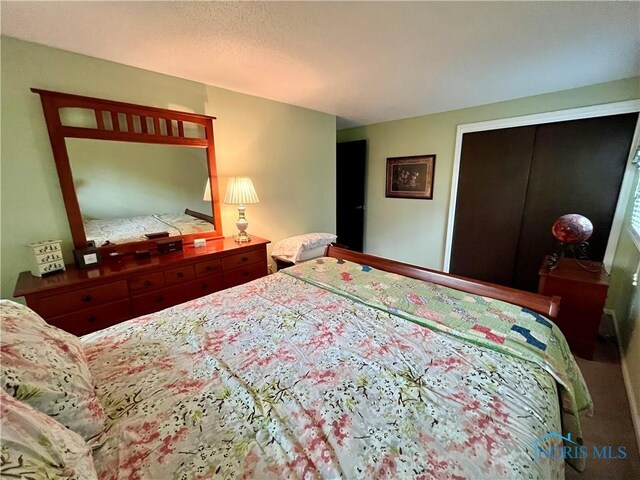 6312 Meadowlark Ln, Payne, OH 45880 - bedroom featuring a closet