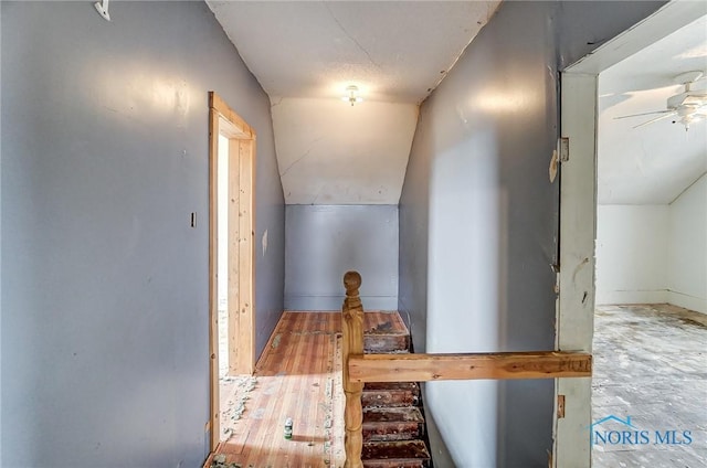 225 2nd St, Latty, OH 45855 - hallway with lofted ceiling and wood finished floors