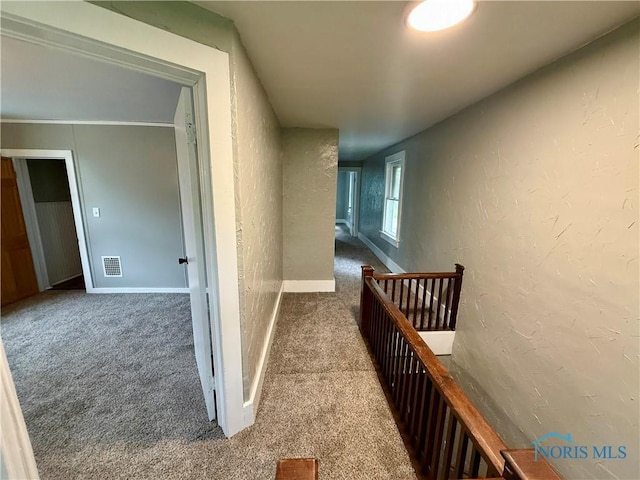 223 E Leggett St, Wauseon, OH 43567 - corridor with carpet, a textured wall, and an upstairs landing