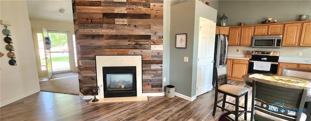 149 Carlee Ln, Findlay, OH 45840 - kitchen with appliances with stainless steel finishes, dark wood-style floors, a multi sided fireplace, light countertops, and open floor plan